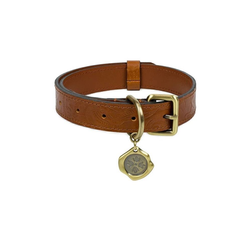 Patricia Nash Pet Collar Small NWT